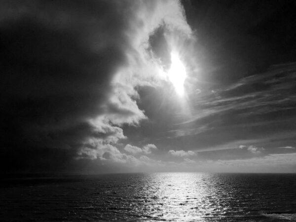 WE MAKE THE LIGHT