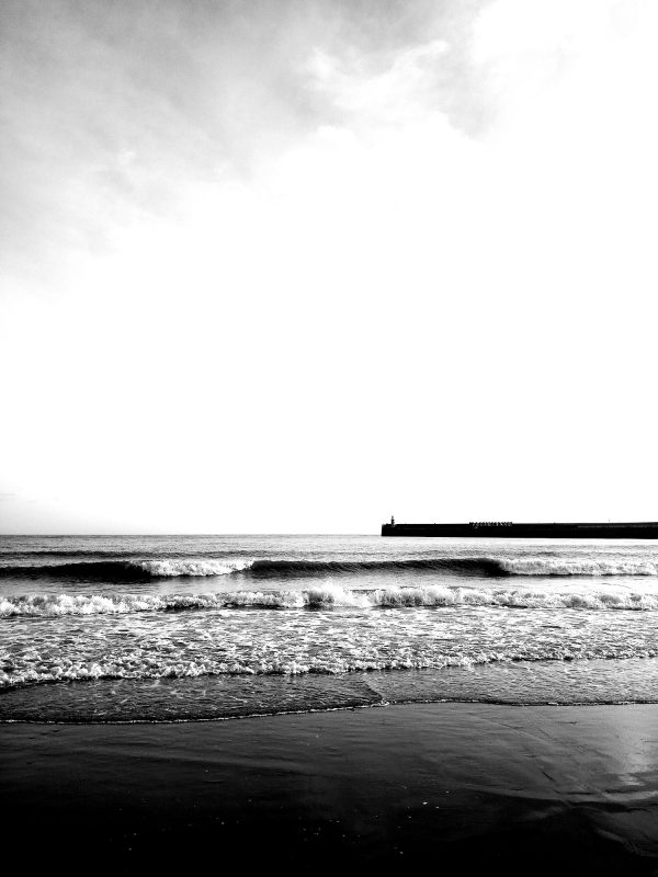 SEA PORTRAIT