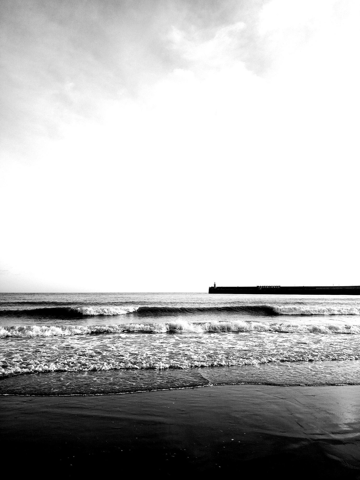 SEA PORTRAIT